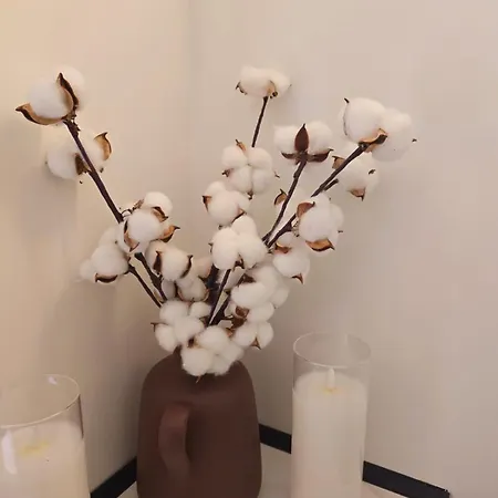 아파트 Marevista Escape