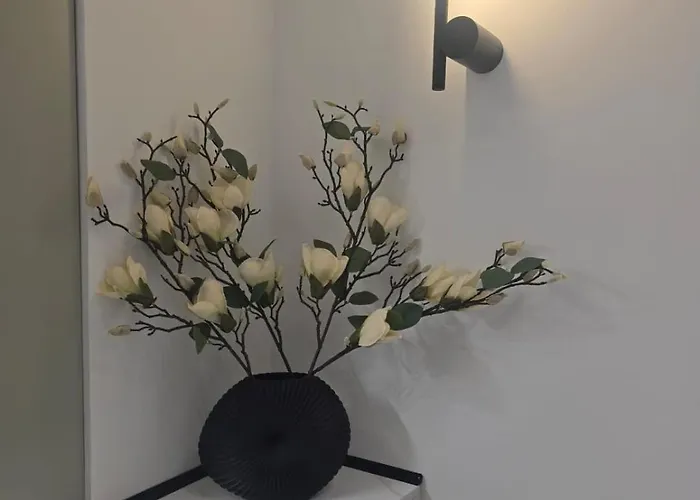 Apartmán Marevista Escape *